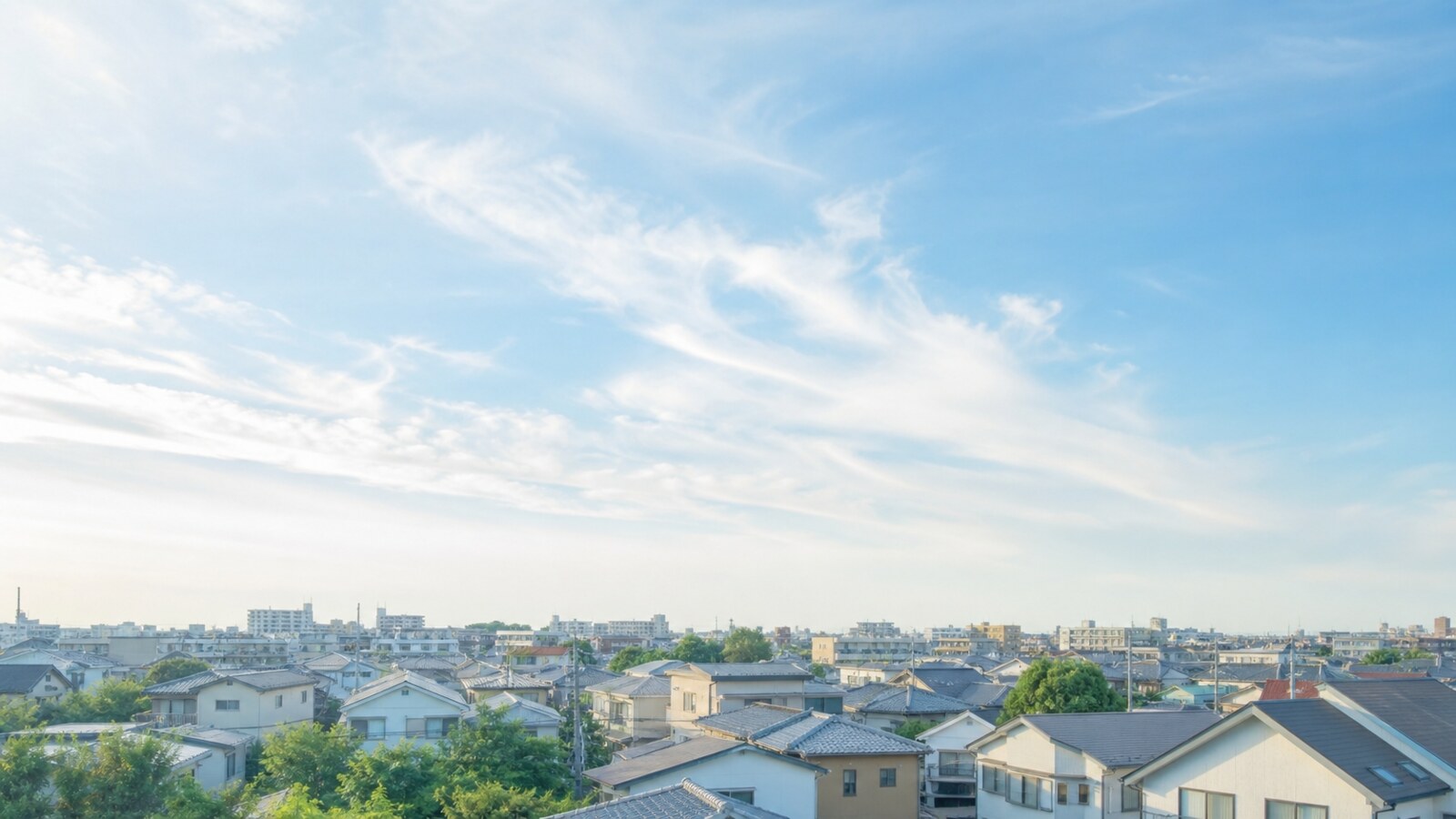 ライジングのサービスイメージ